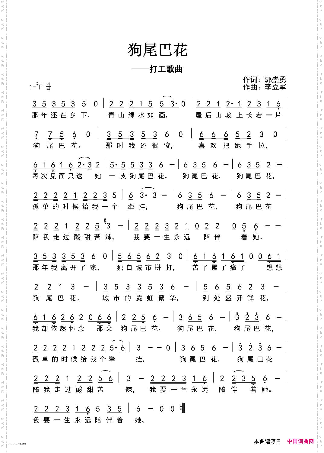 狗尾巴花