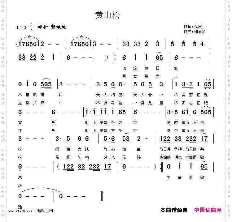 黄山松