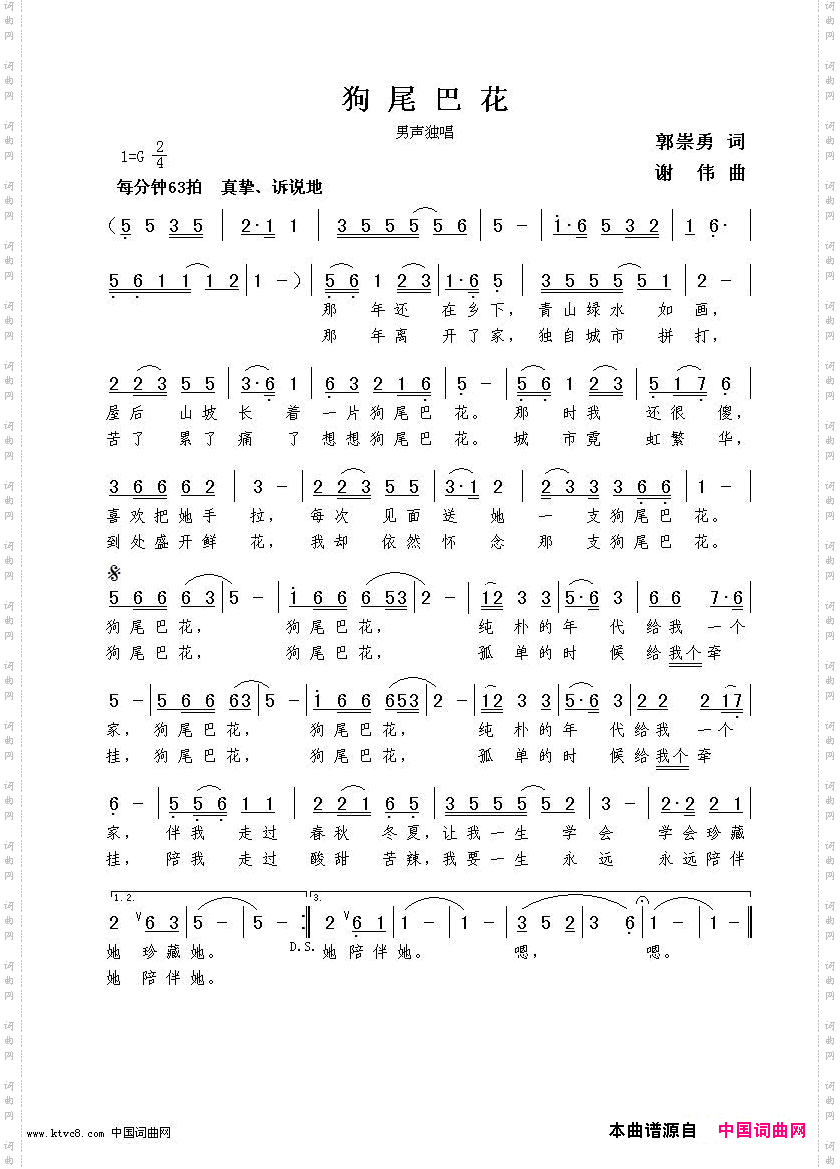 狗尾巴花郭崇勇词谢伟曲