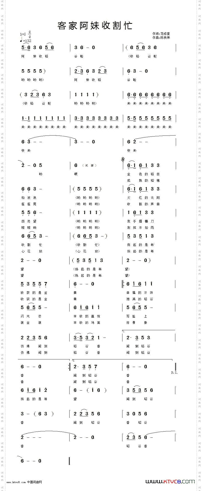 客家阿妹收割忙