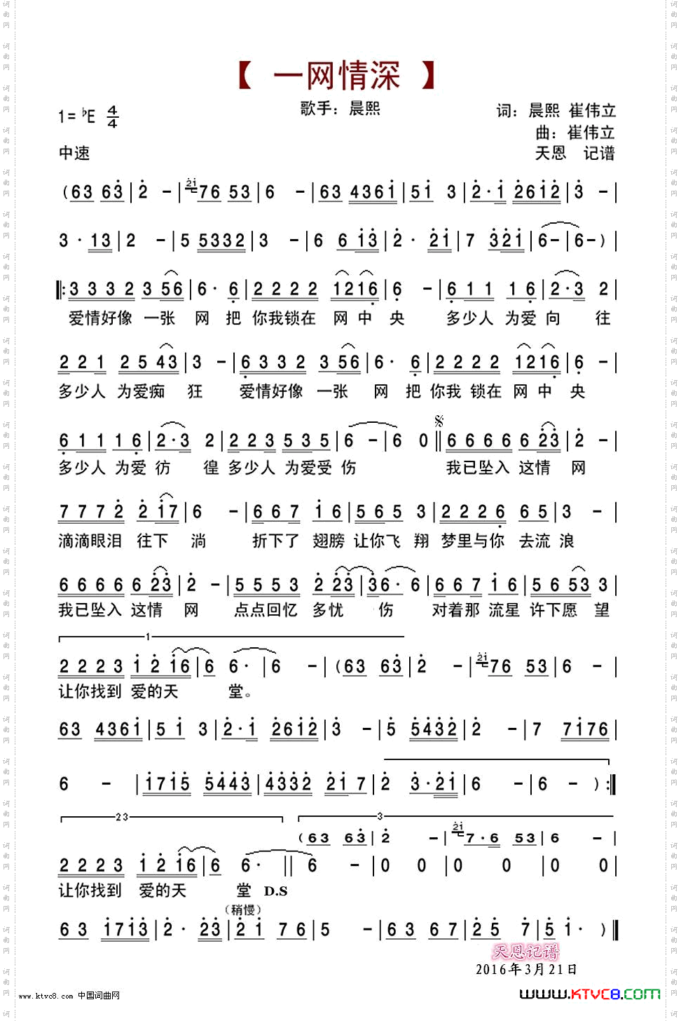 一网情深