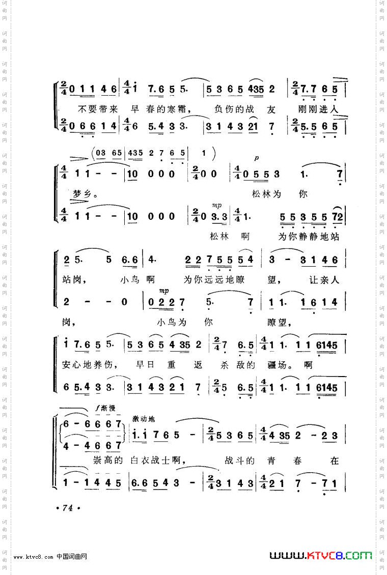 青春在炮火中闪光