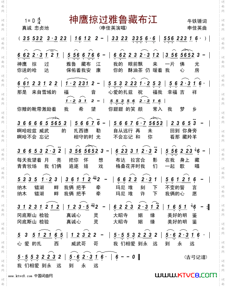 神鹰掠过雅鲁藏布江