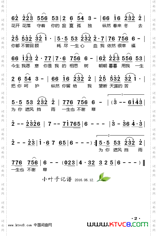 相思树