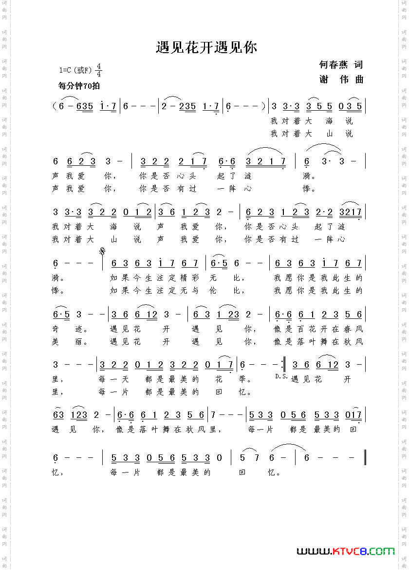 遇见花开遇见你