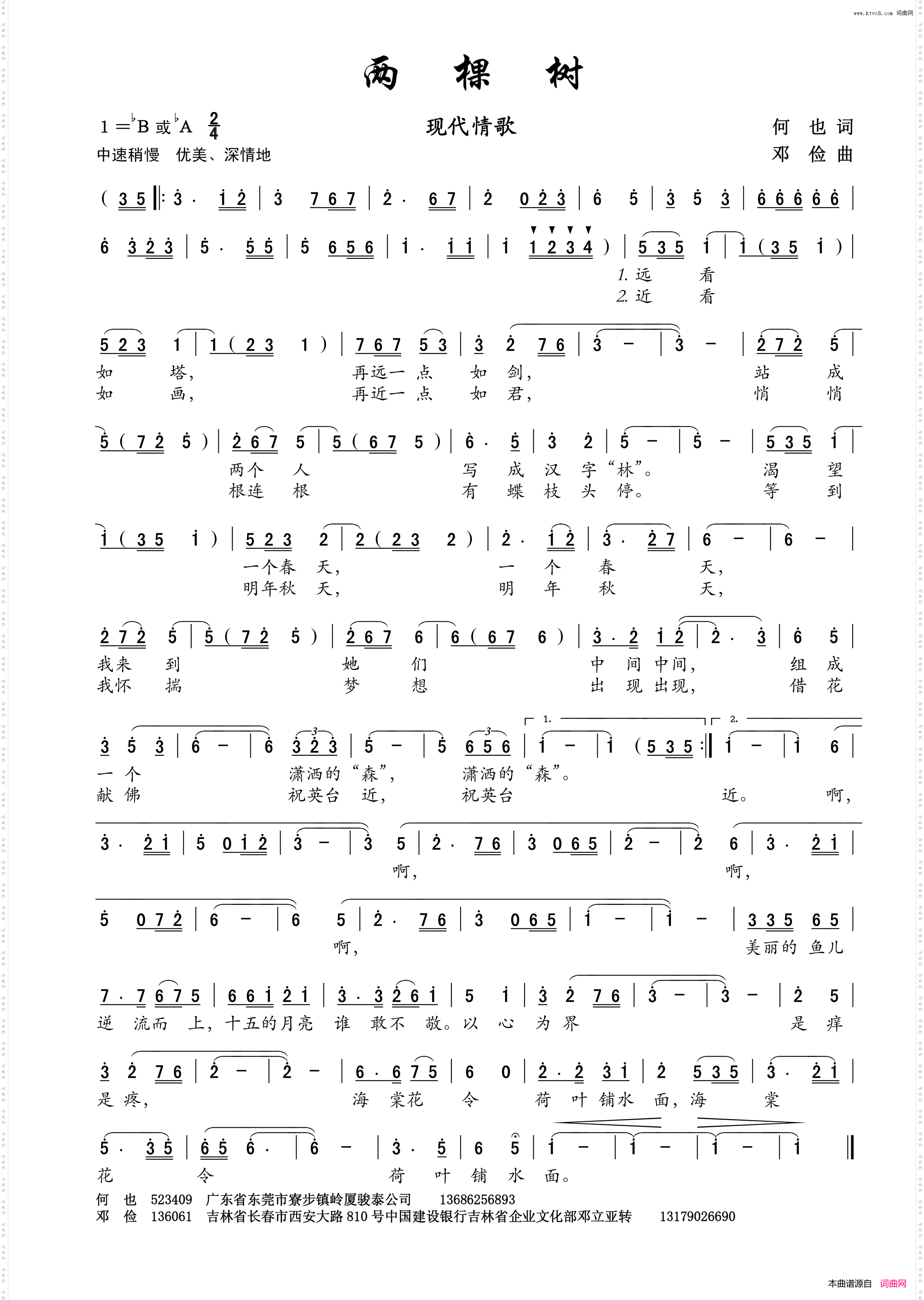 两棵树_现代情歌