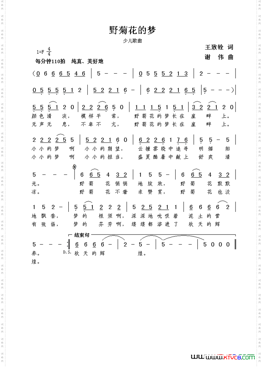 野菊花的梦