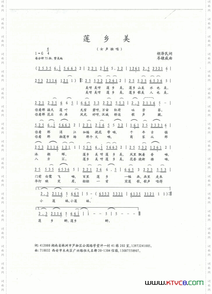 莲乡美