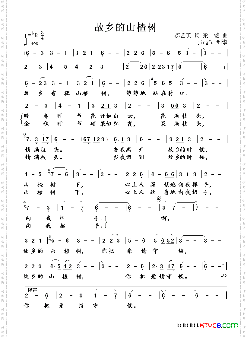 故乡的山楂树