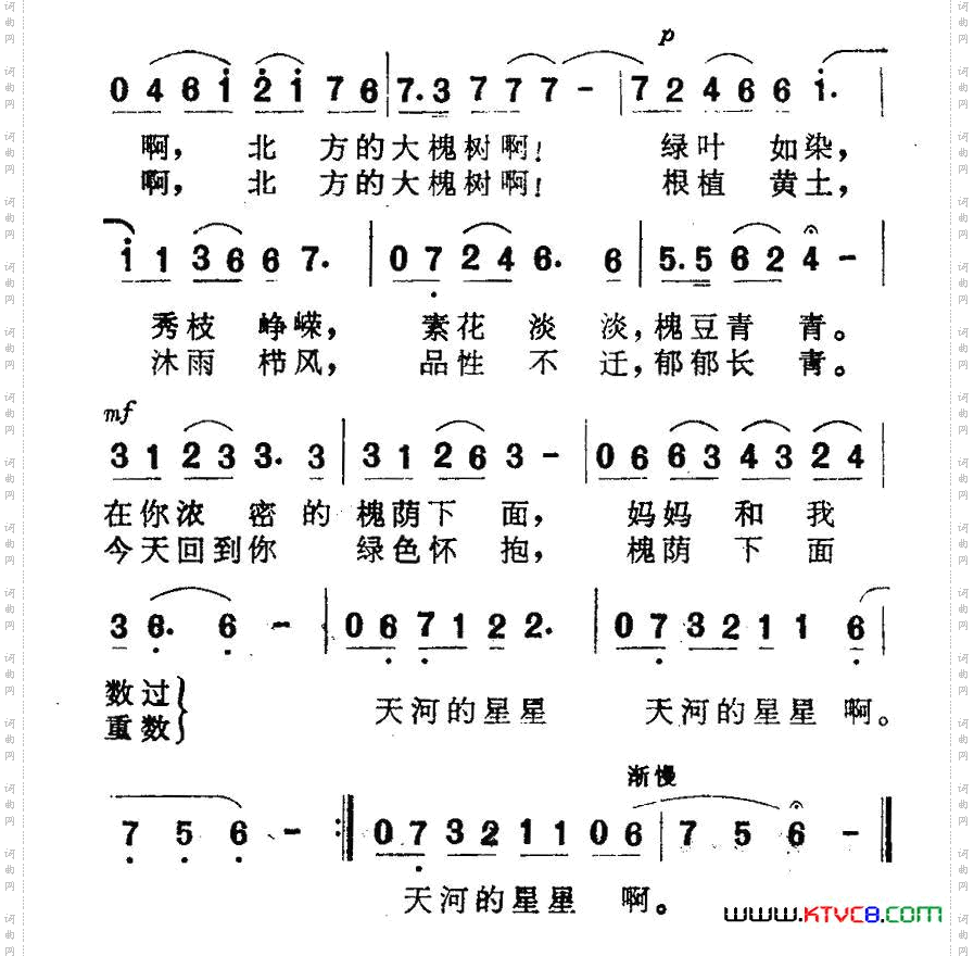 北方的大槐树