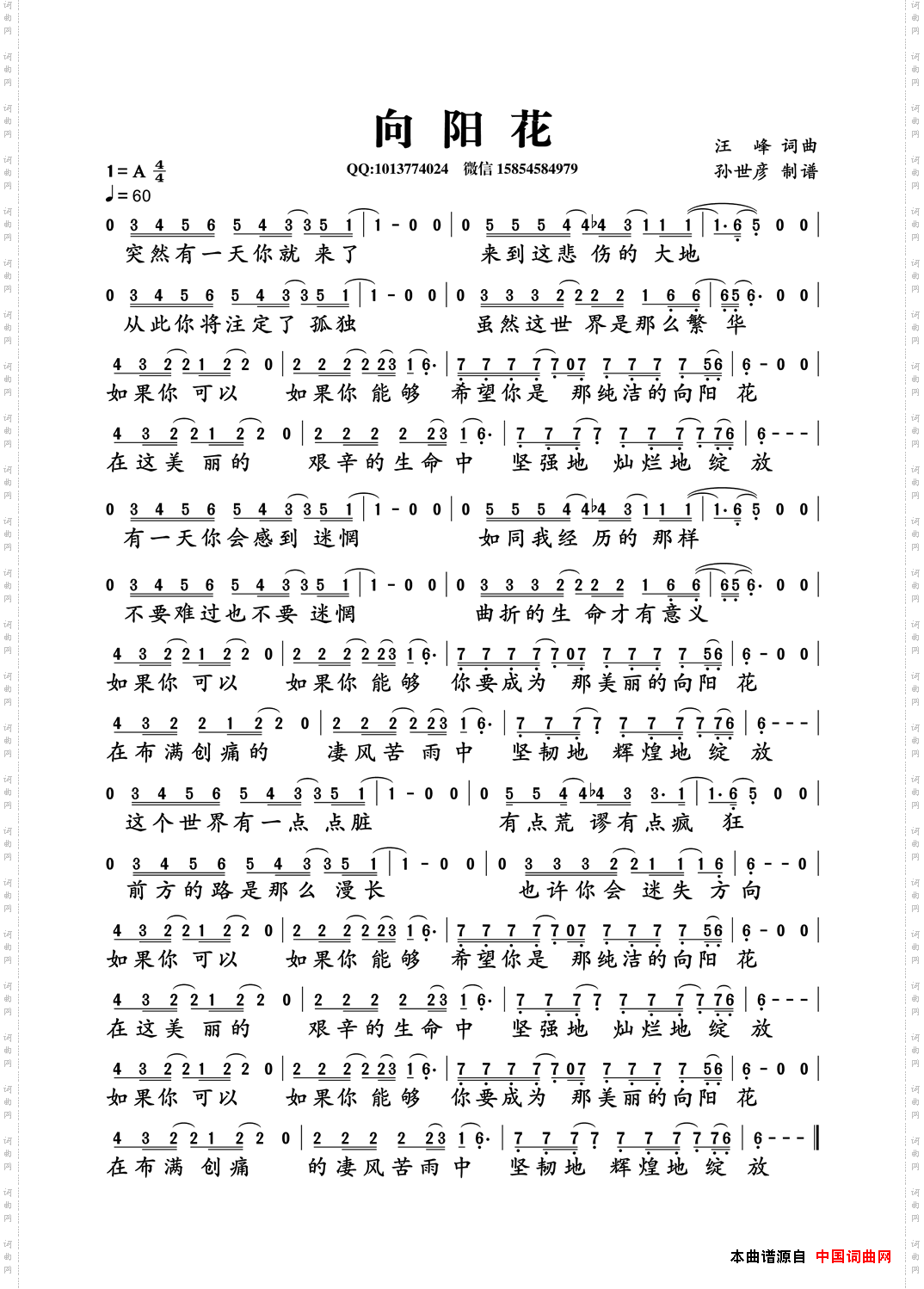 向阳花