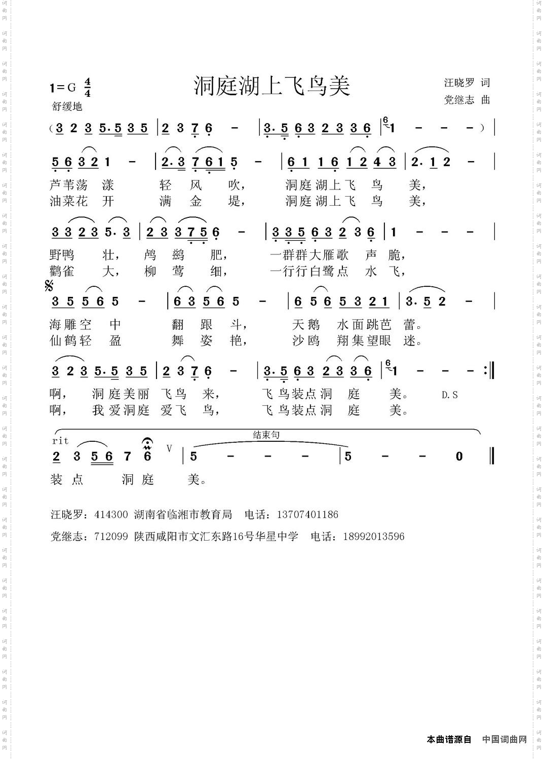 洞庭湖上飞鸟美