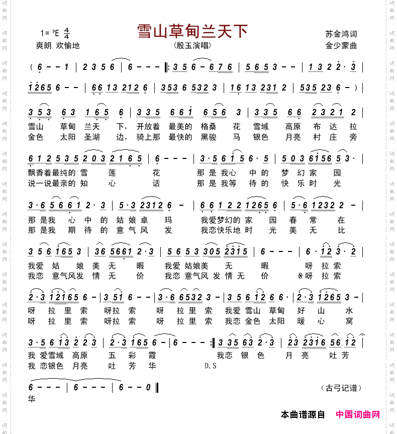 雪山草甸兰天下