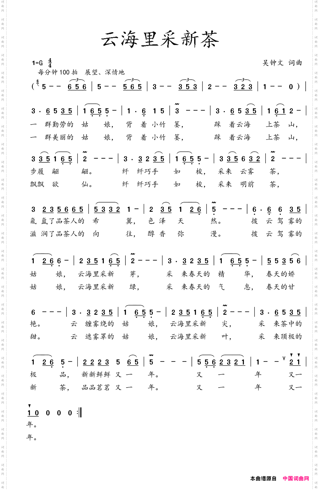 云海里采新茶