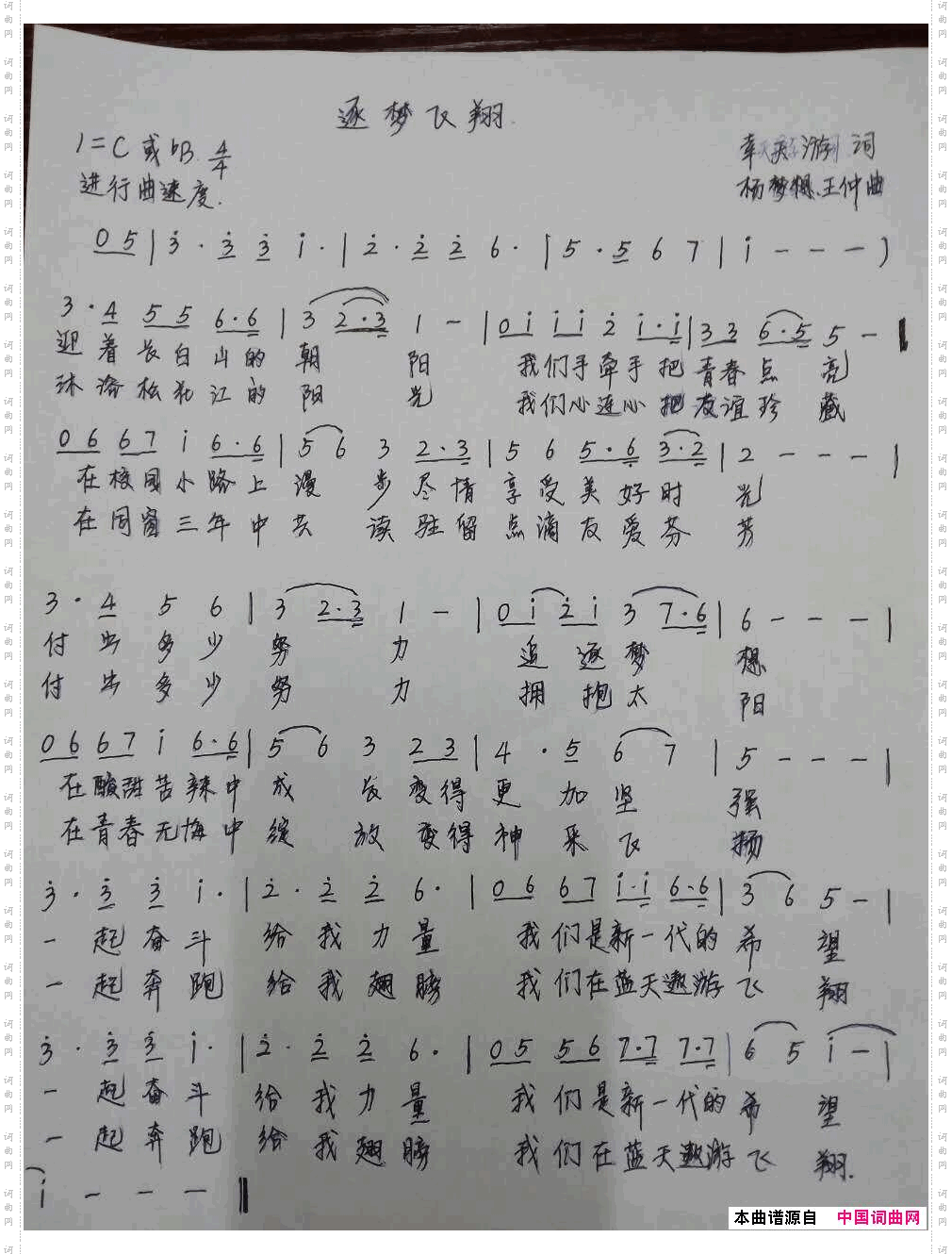 逐梦飞翔