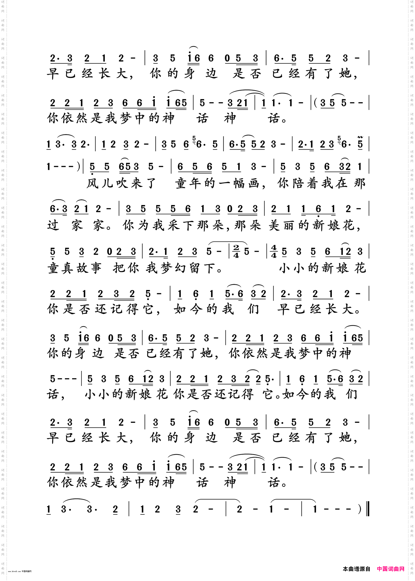 小小新娘花
