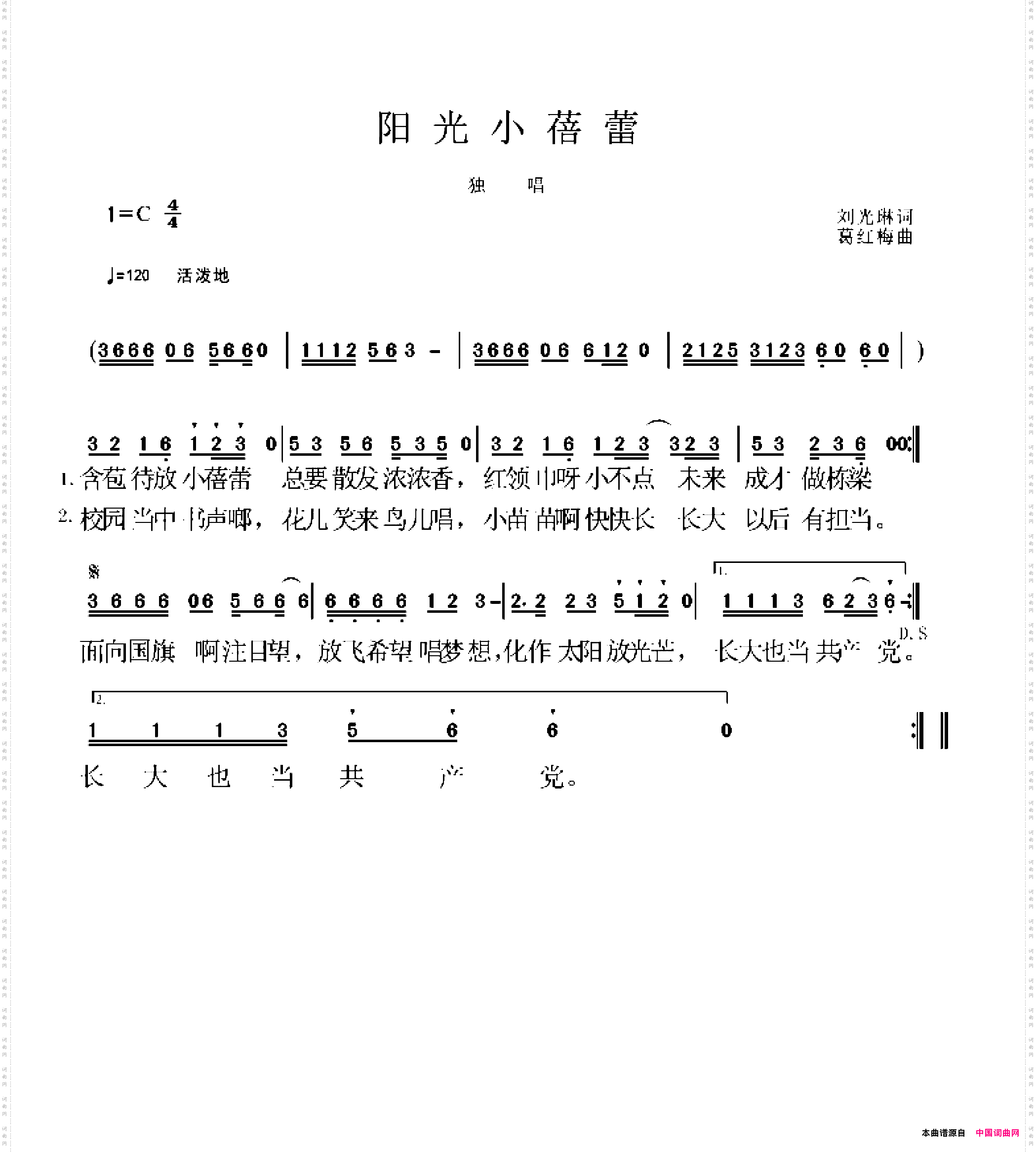 阳光小蓓蕾