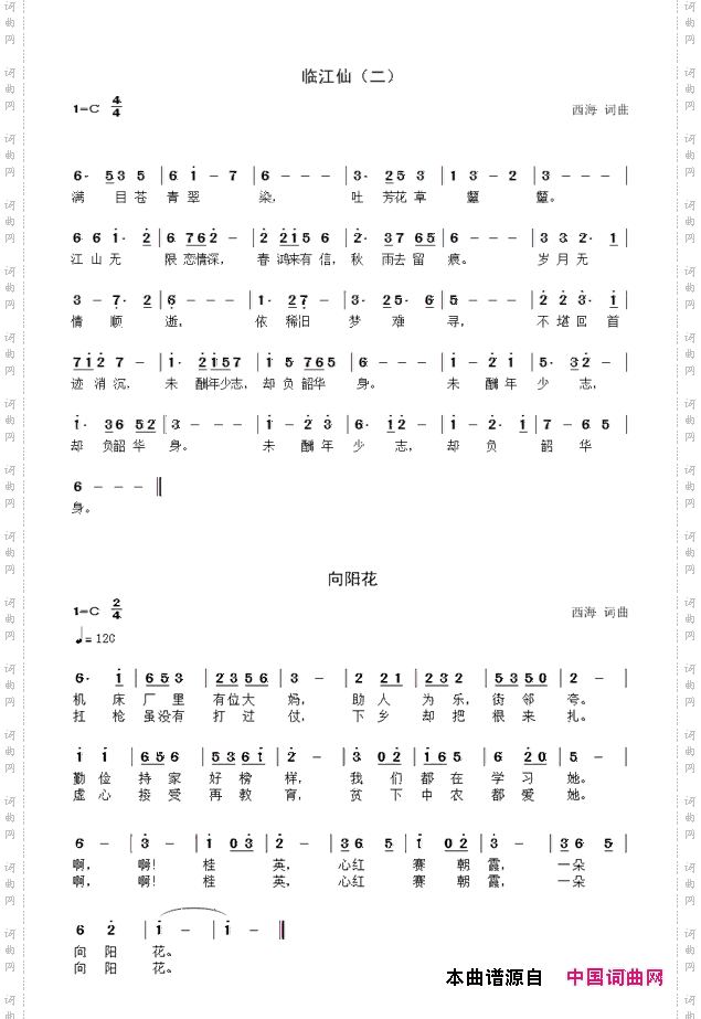 向阳花