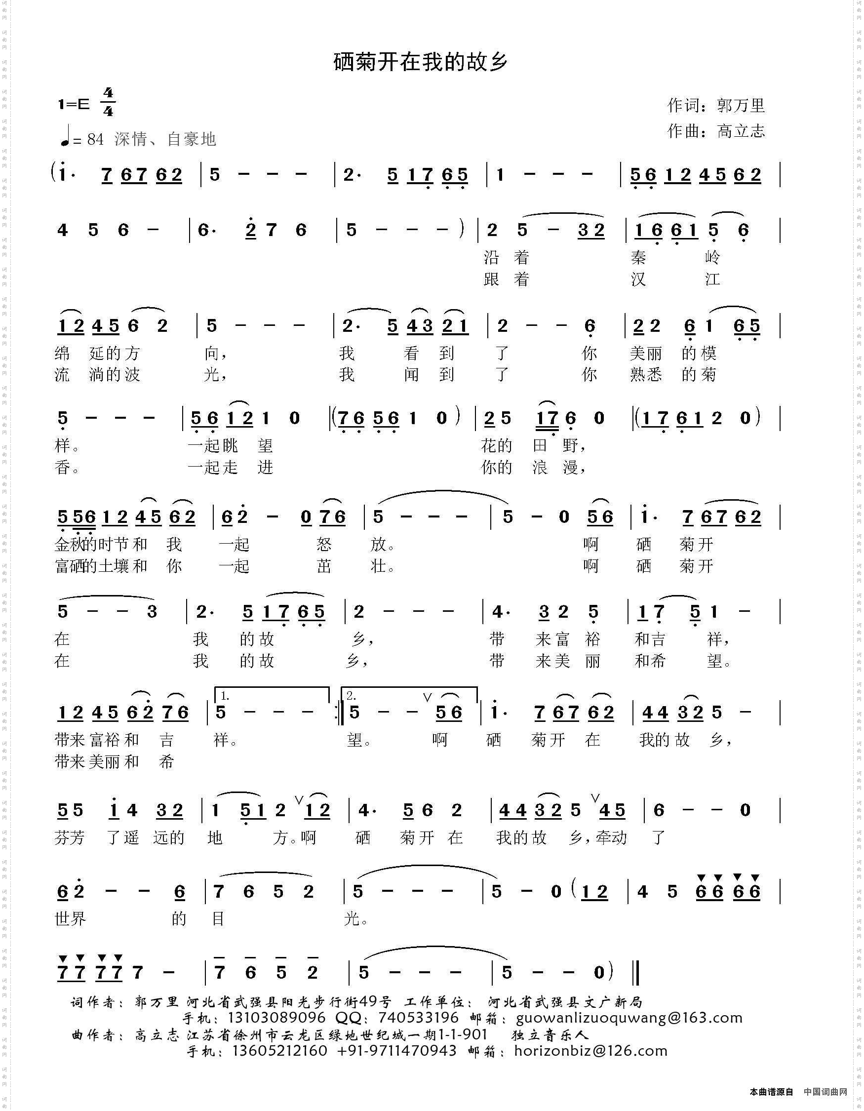 硒菊开在我的故乡