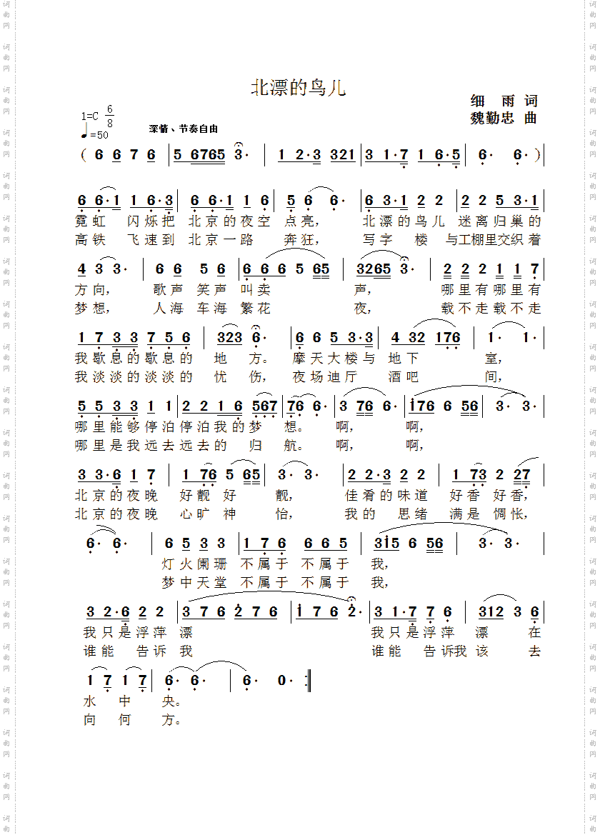 北漂的鸟儿