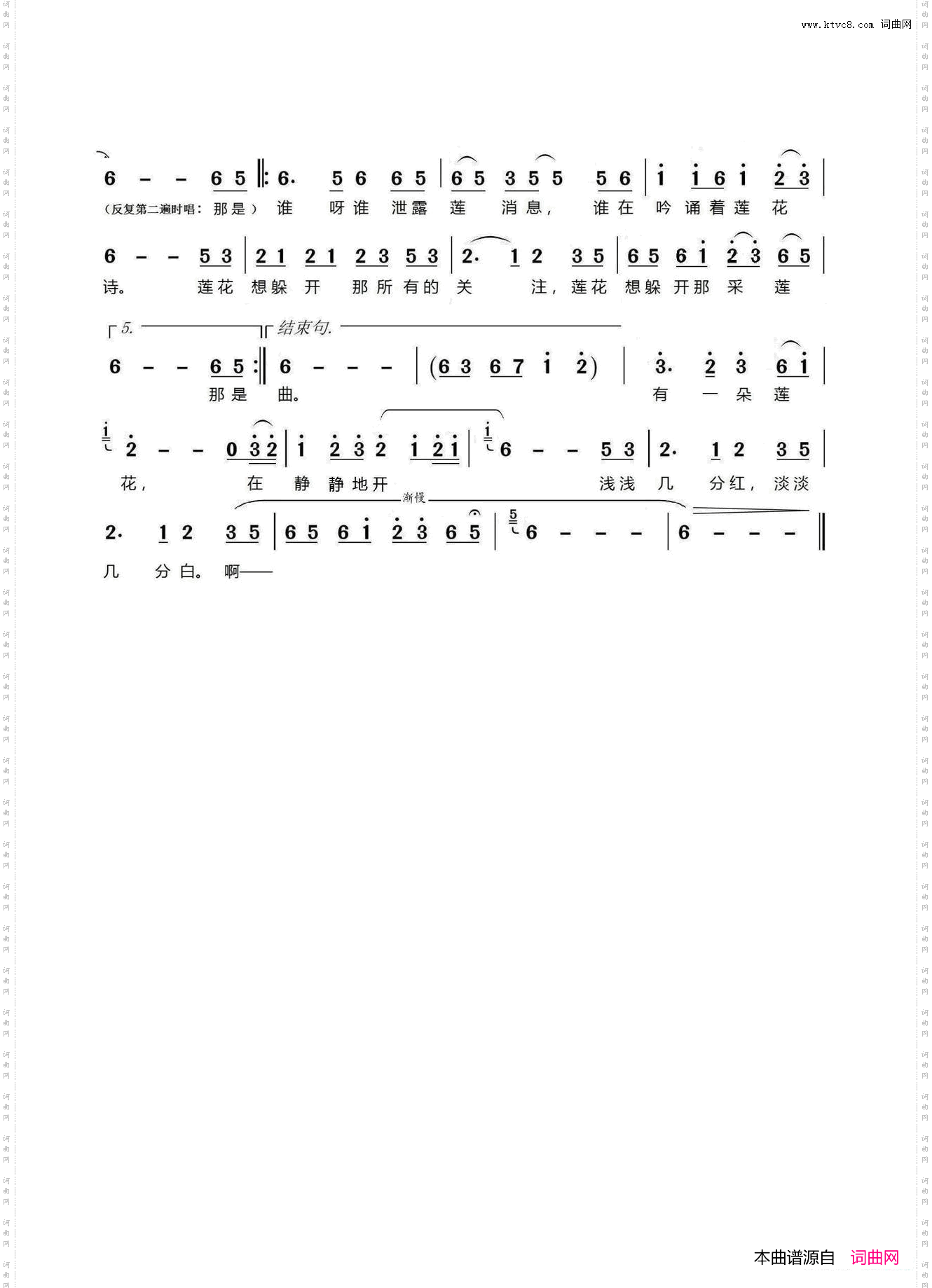 绿野仙踪_有一朵莲花