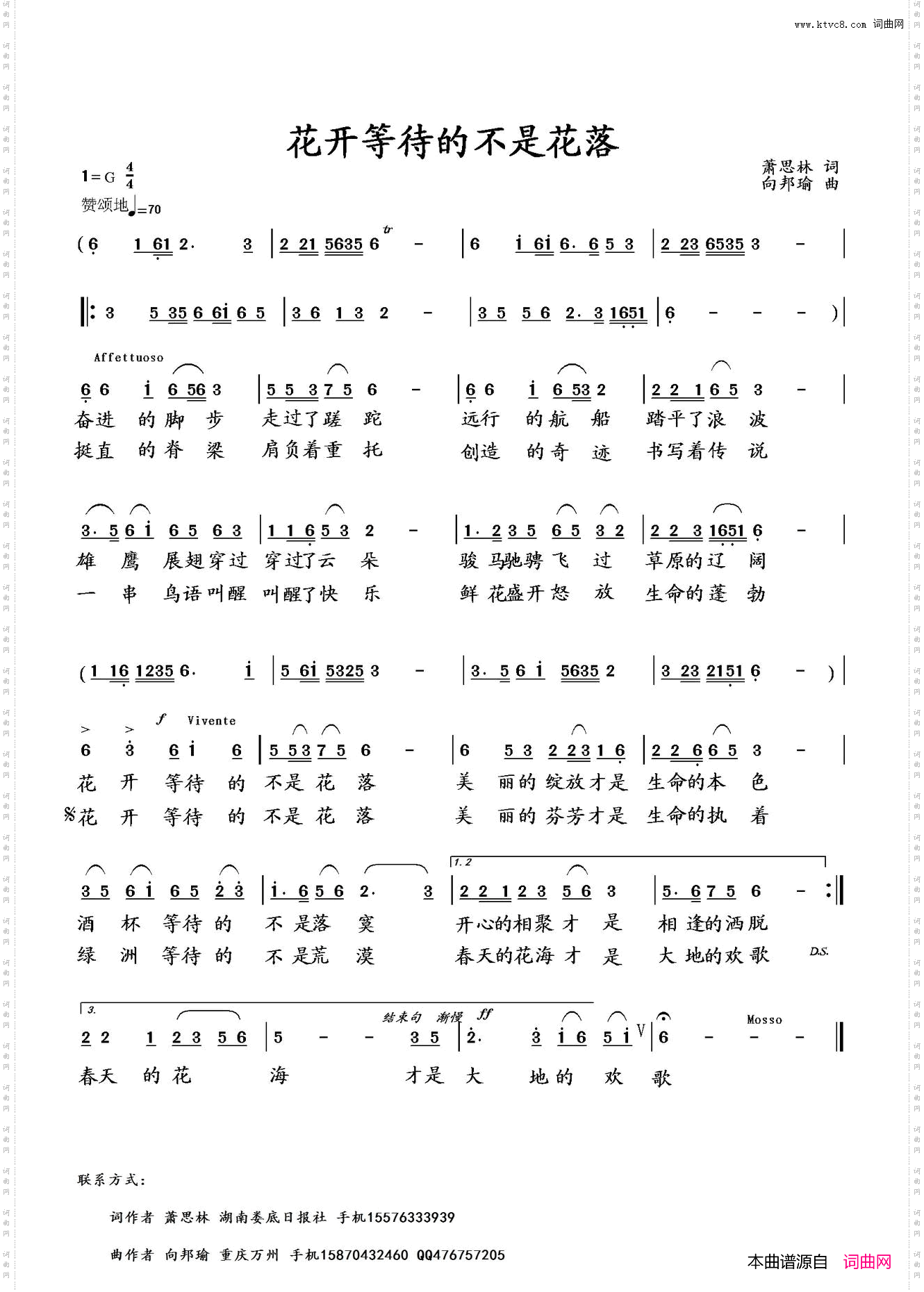 花开等待的不是花落