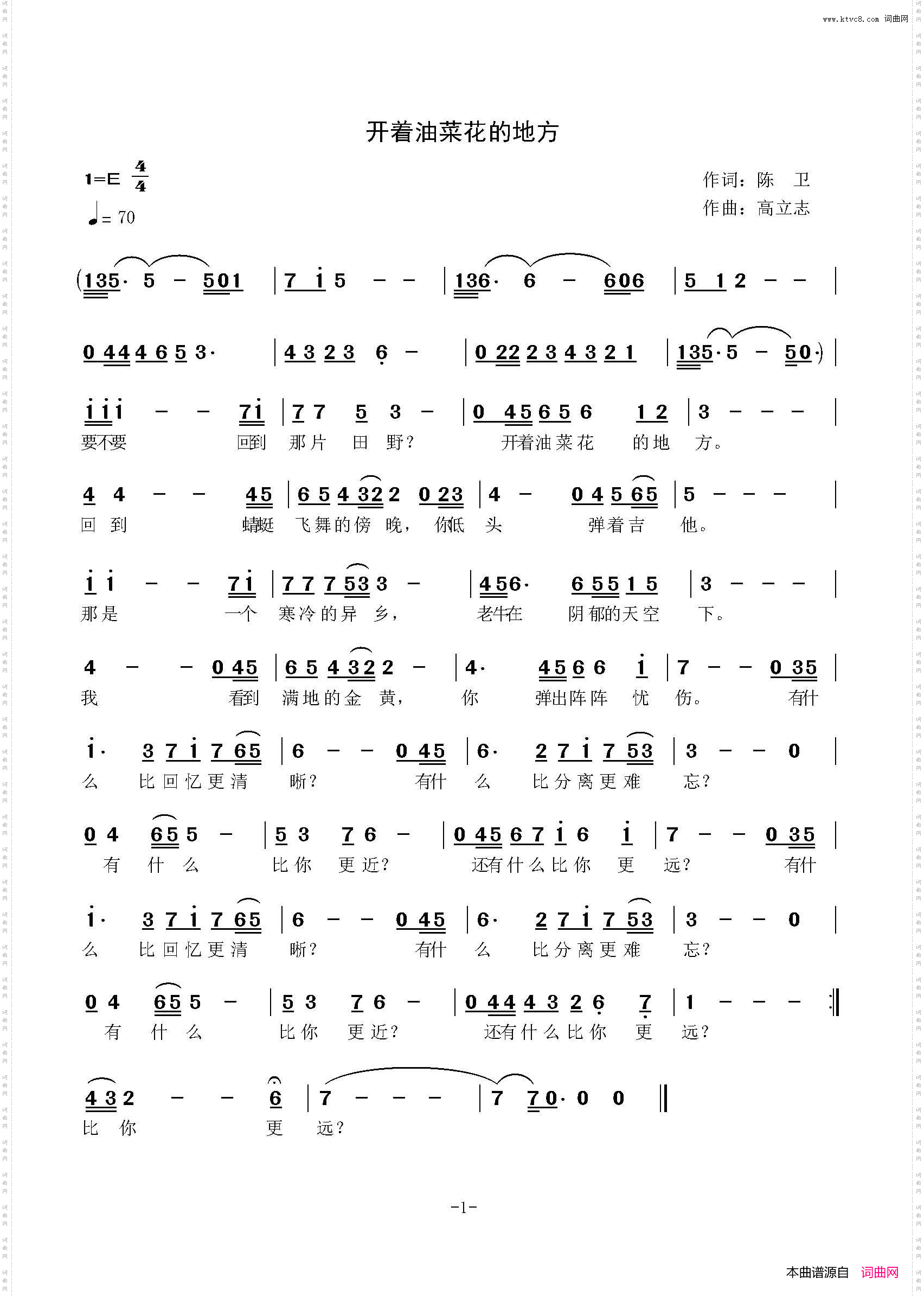 开着油菜花的地方