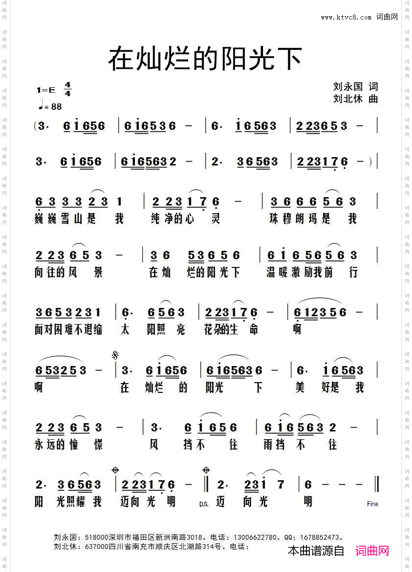 在灿烂的阳光下