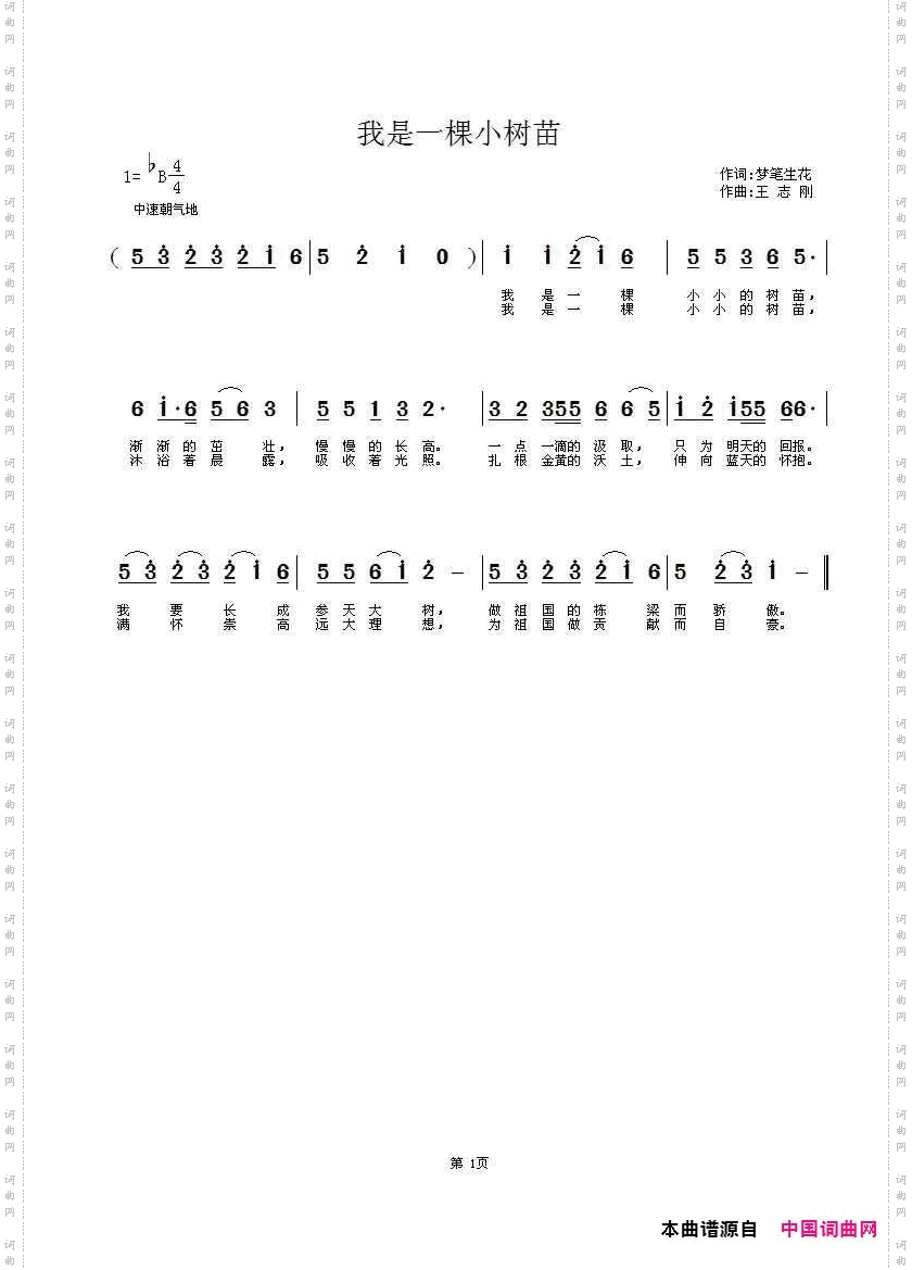 我是一棵小树苗