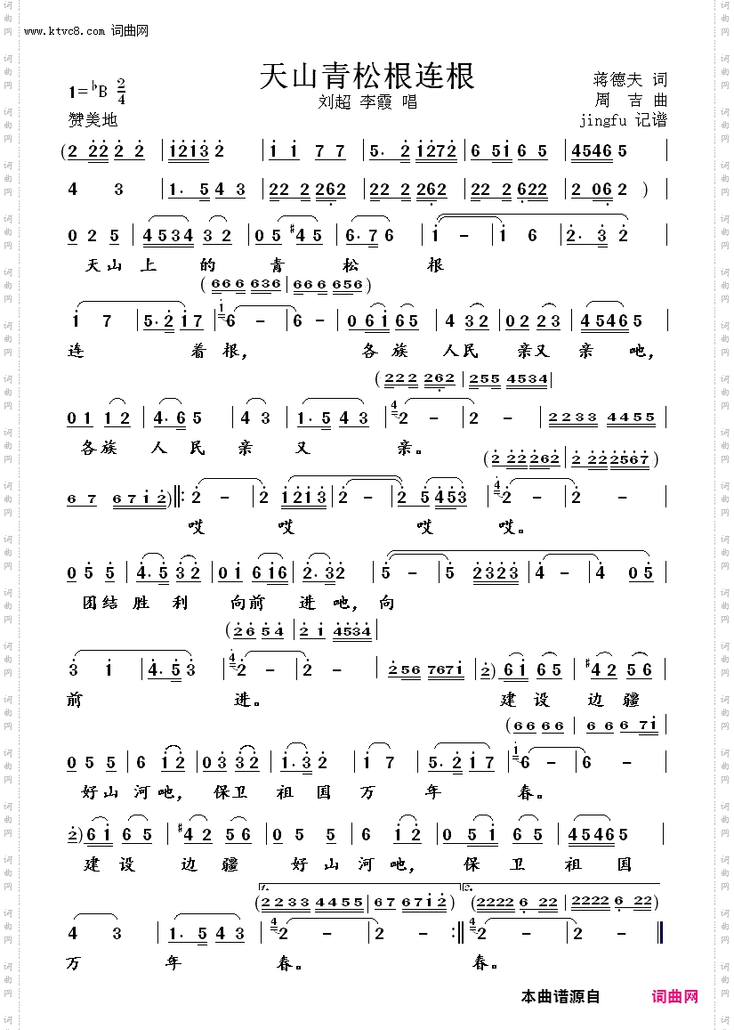 天山青松根连根