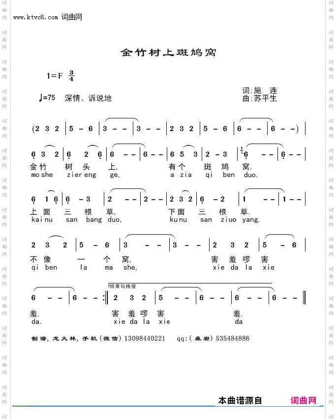 金竹树上斑鸠窝