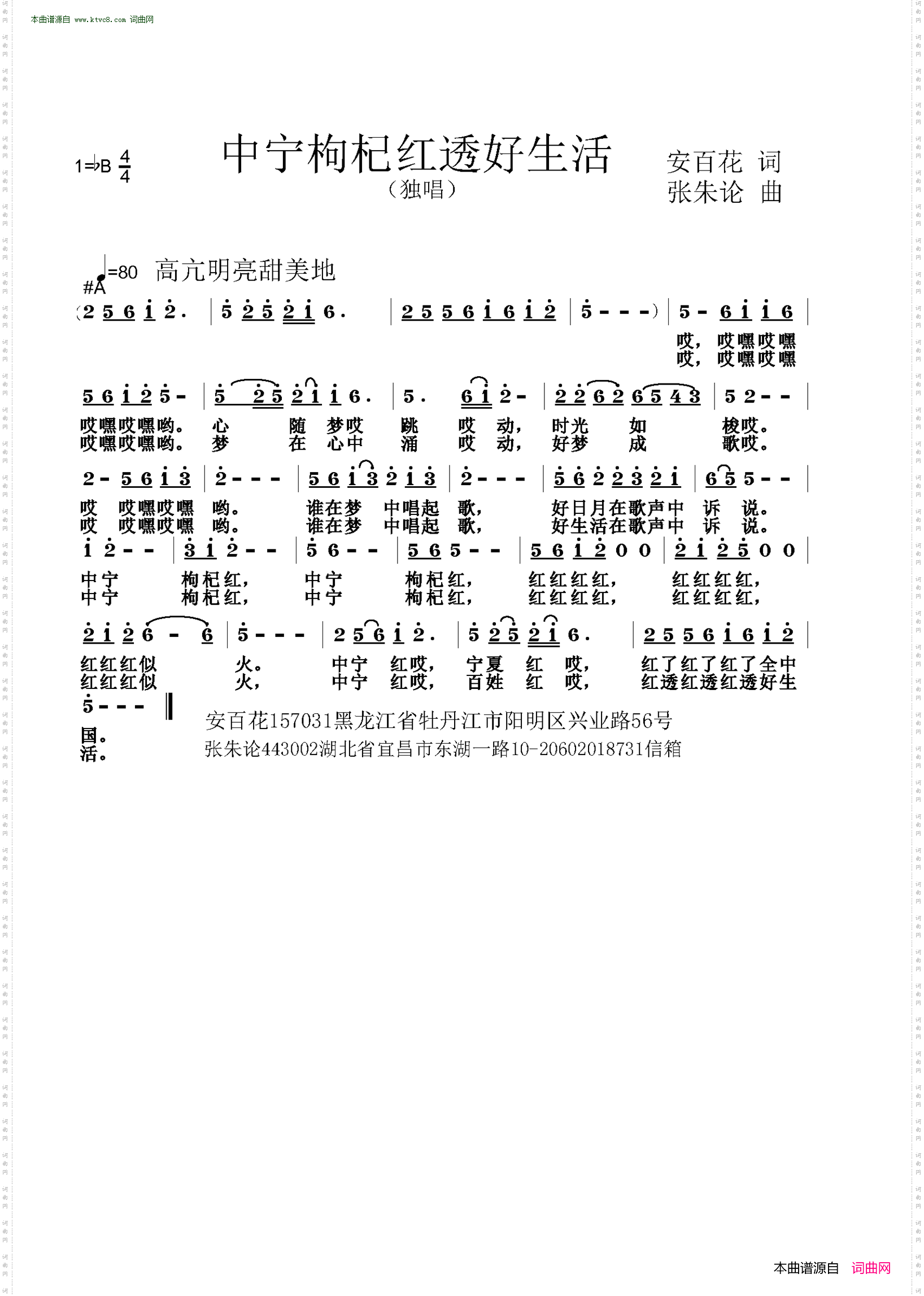 中宁枸杞红透好生活