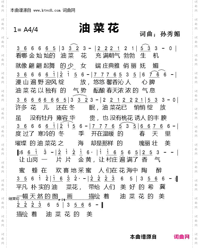 油菜花