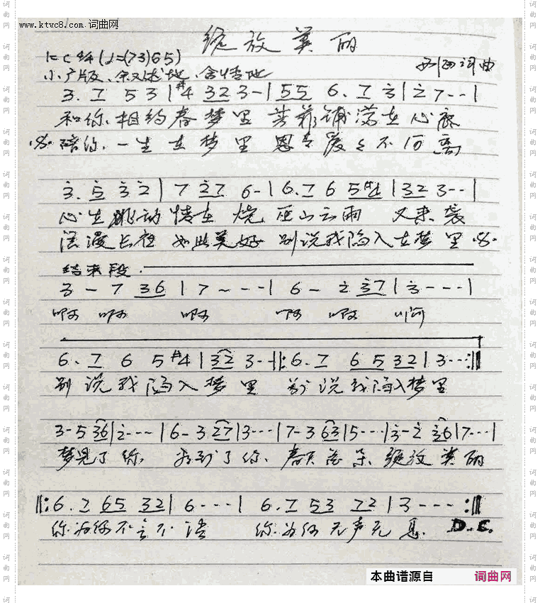 绽放美丽