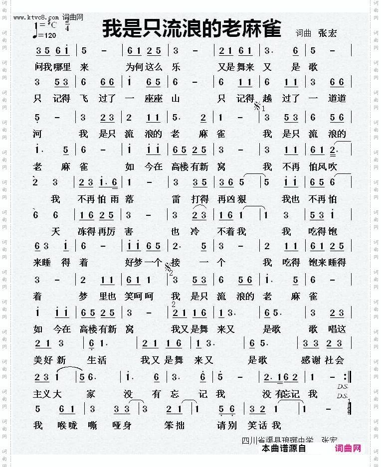 我是只流浪的老麻雀