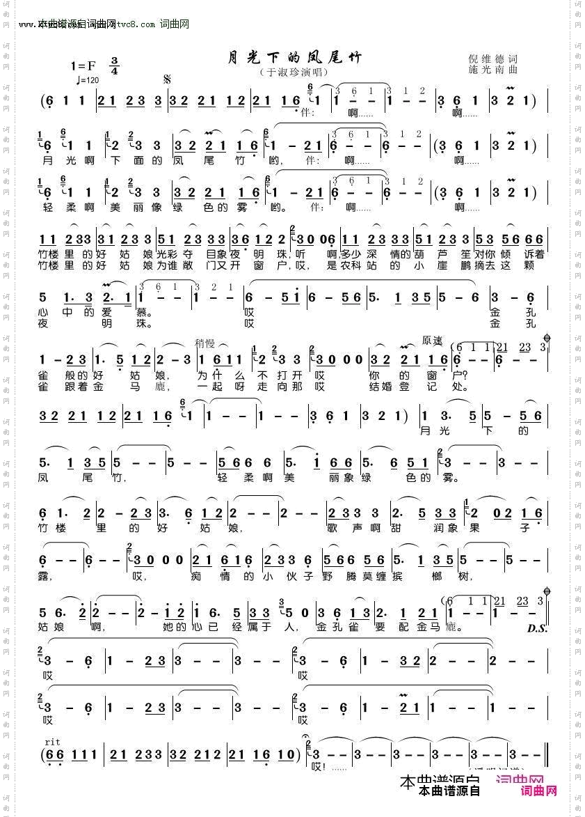 月光下的凤尾竹