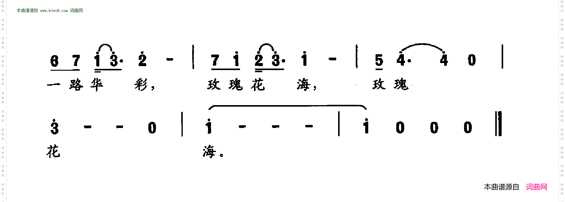 玫瑰花海