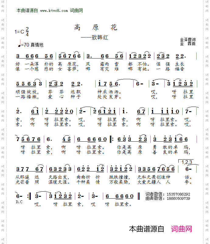 高原花_致韩红