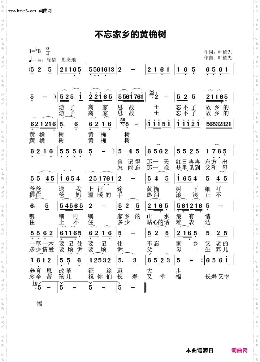 不忘家乡的黄桷树