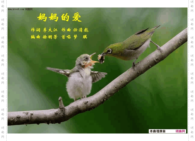 妈妈的爱_任清彪曲