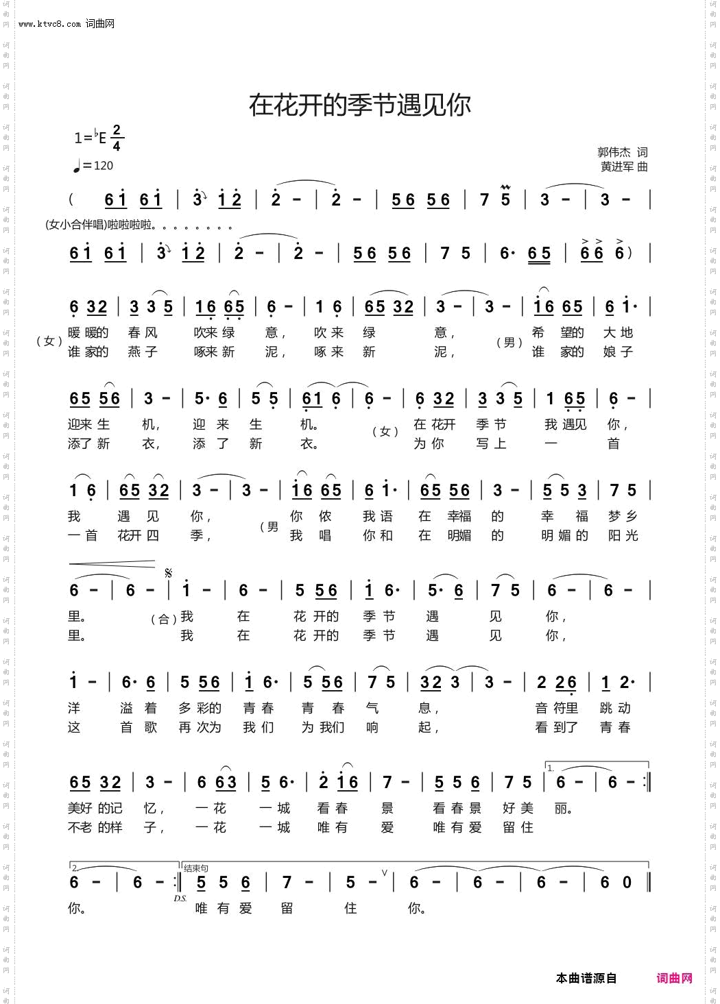 在花开的季节遇见你
