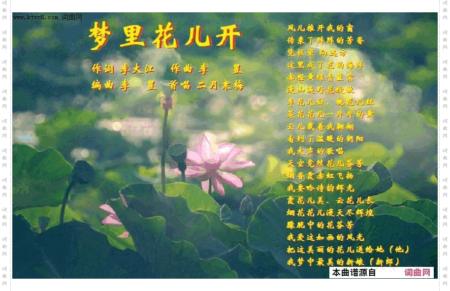 《梦里花儿开》