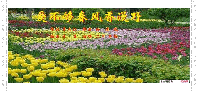 爱不够春风香漫野_李昱编曲