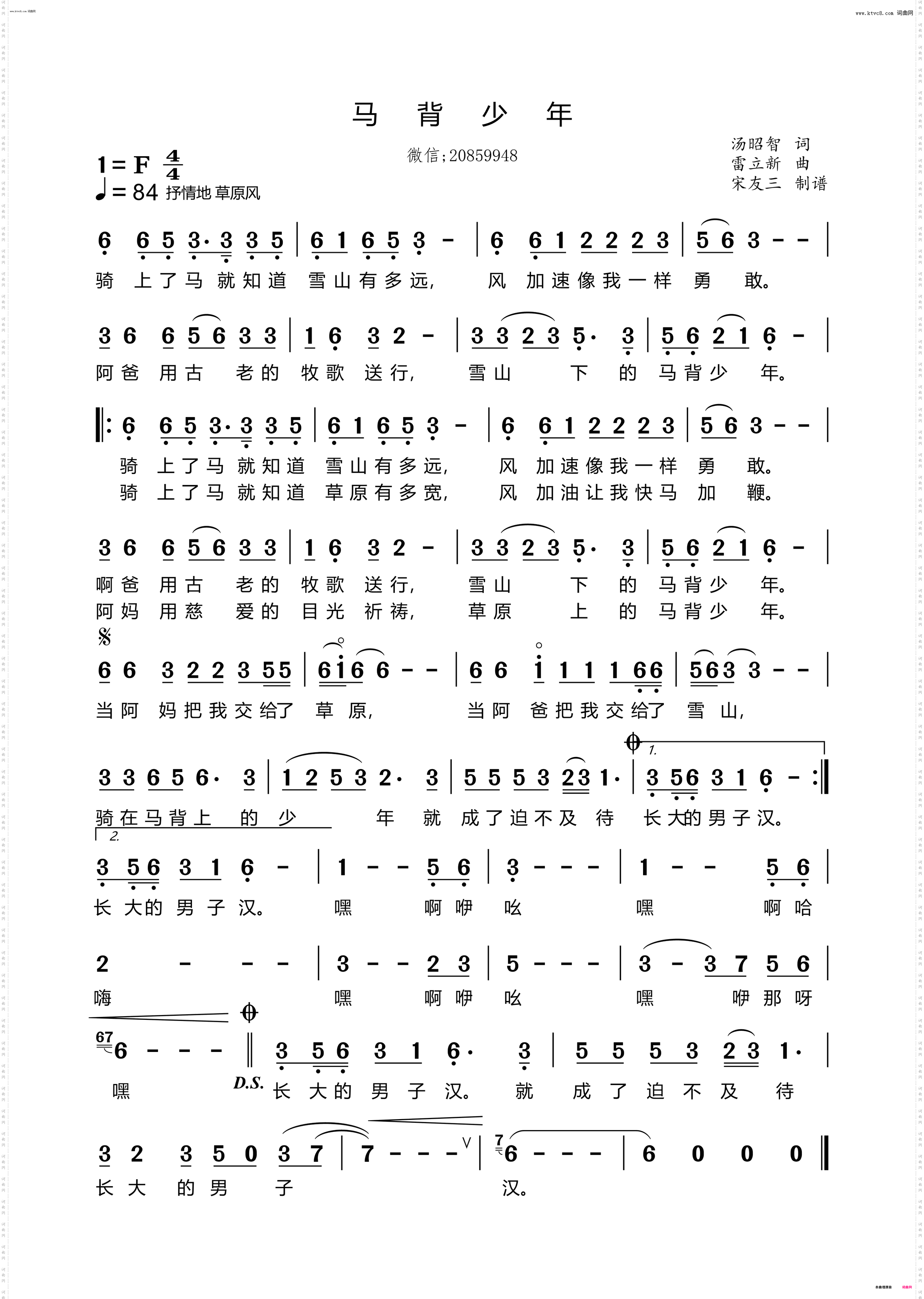 马背少年