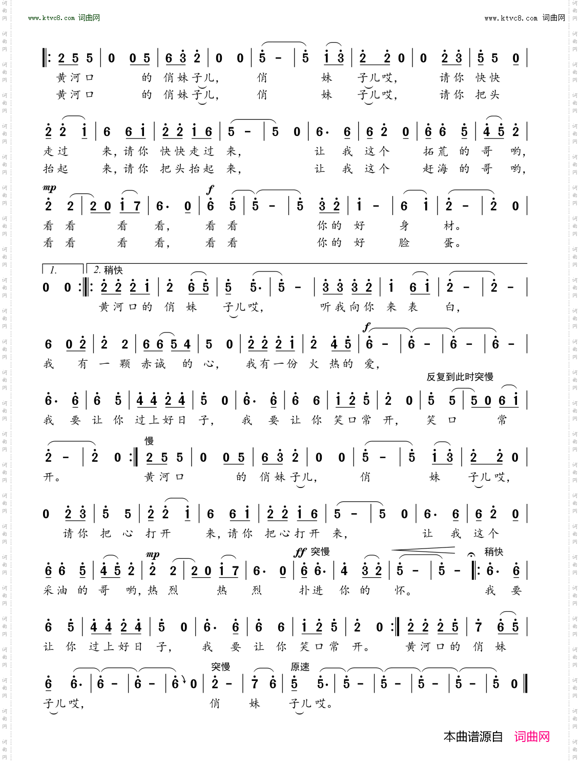 黄河口的俏妹子