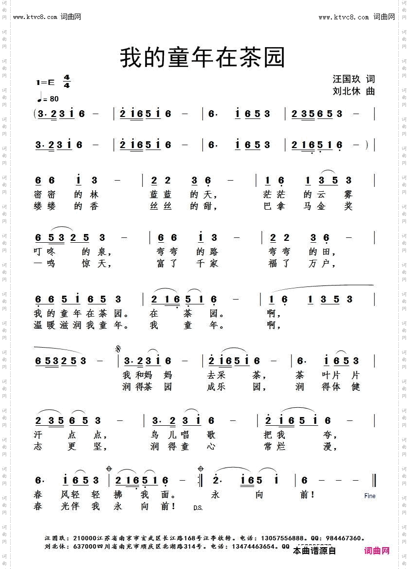 我的童年在茶园