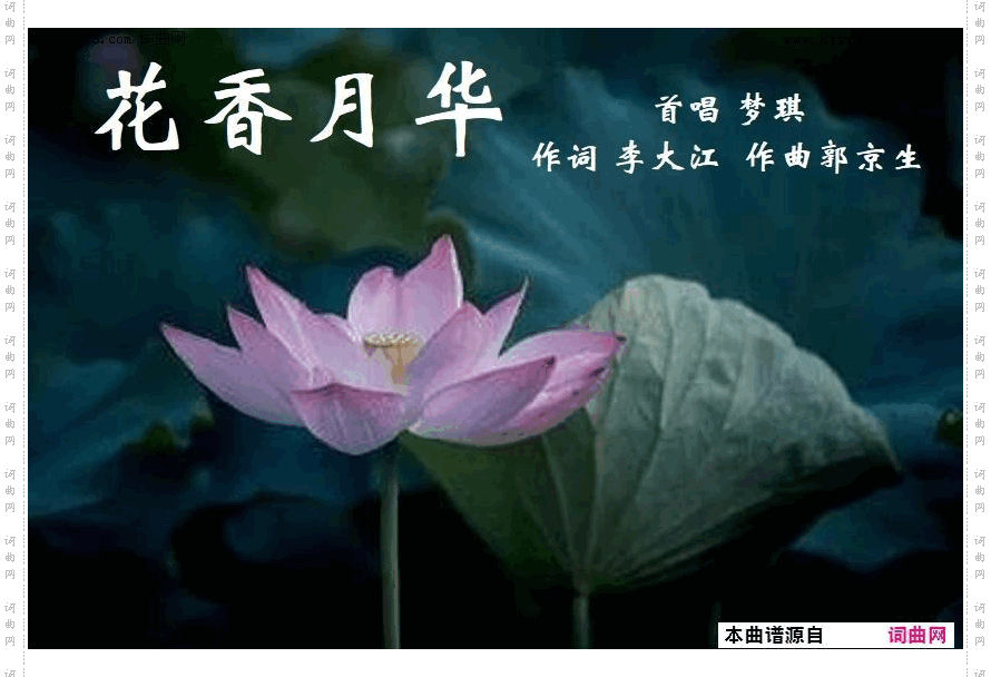 花香月华_梦琪唱、郭京生曲