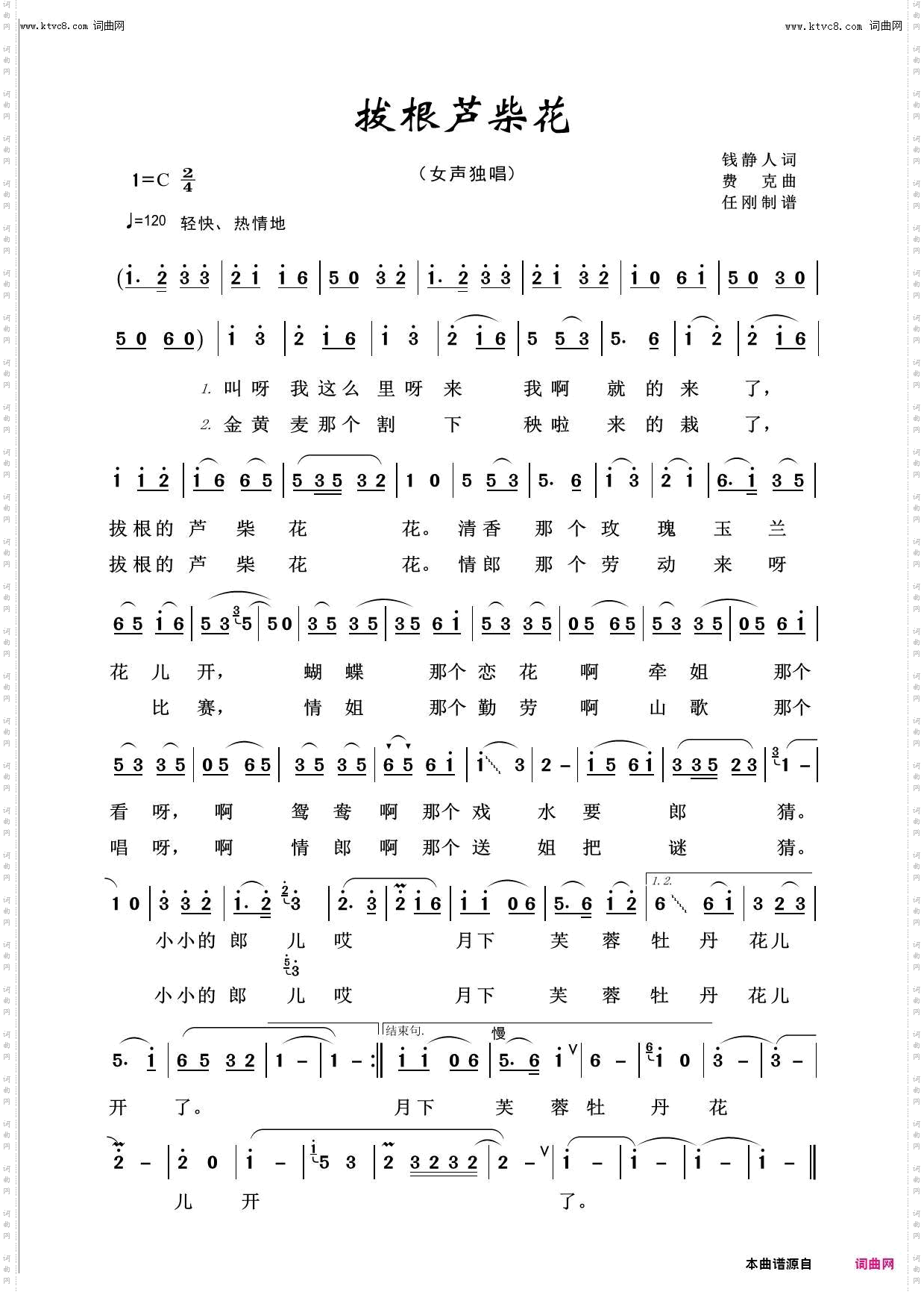 拔根芦柴花_百花齐放100首