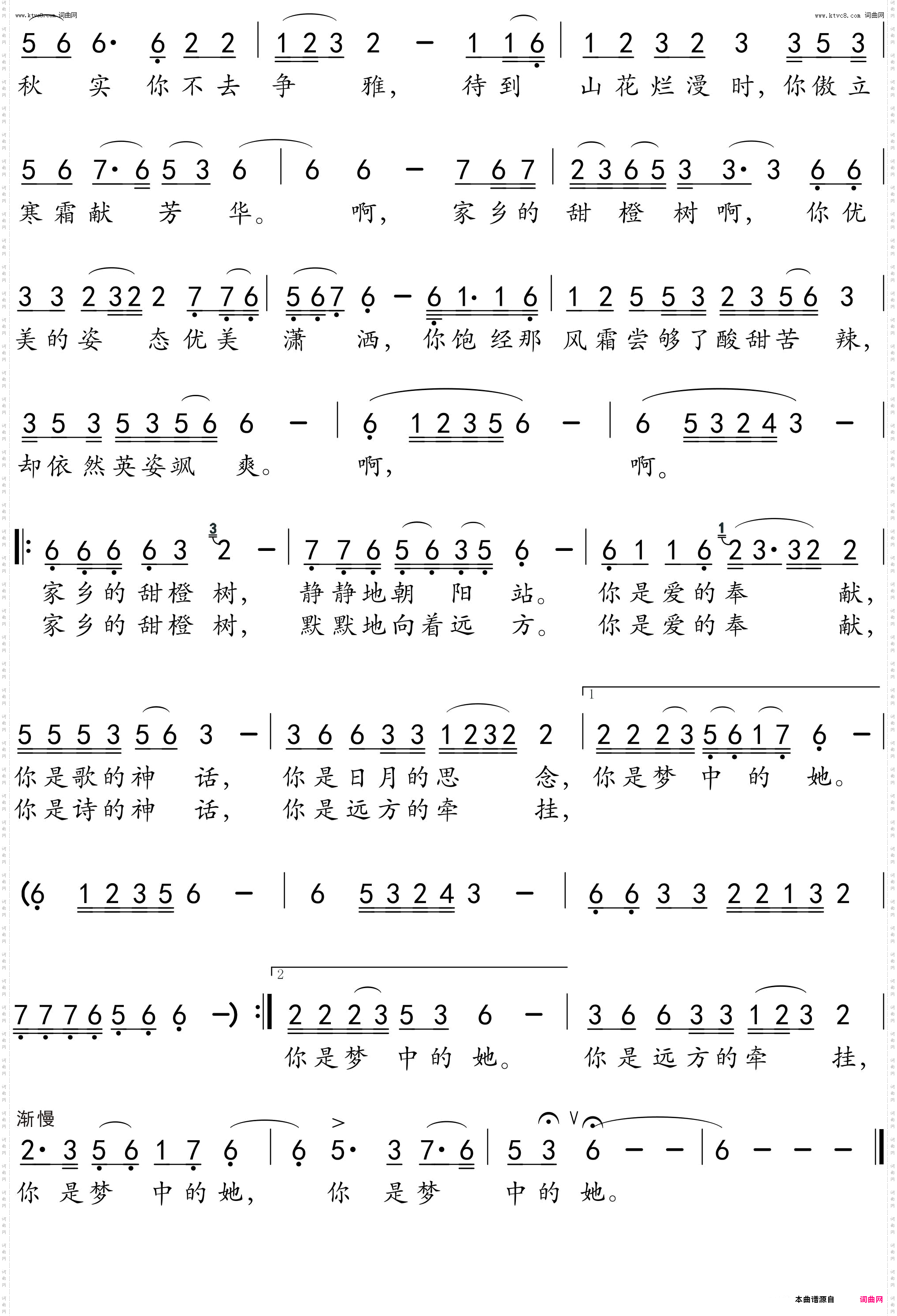 家乡的甜橙树_献给“永兴冰糖橙”人的一首歌