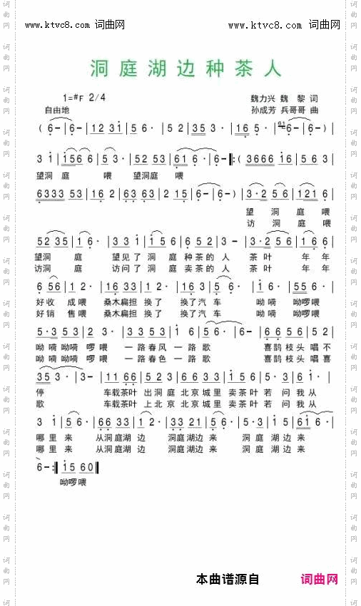 洞庭湖边种茶人